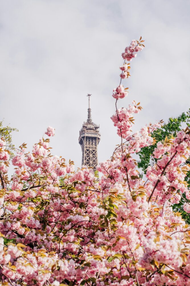 Tour Eiffel avec fleurs